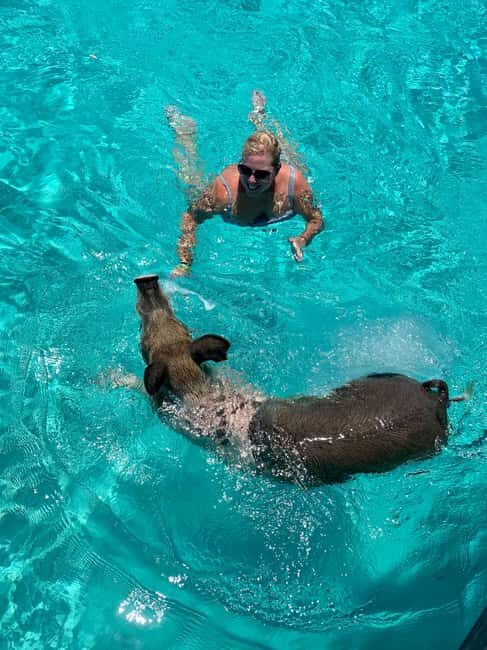 Nassau: Discover Exuma Island Hopping and Swimming Pigs Tour - FAQ