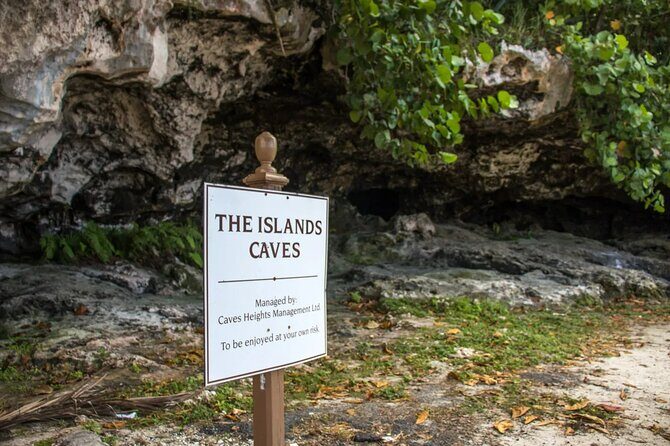 Nassau Express Private Tour: Forts, Parliament & Caves - Who Should Consider This Tour?