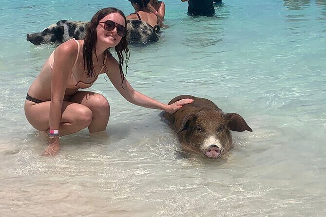 Nassau: Half Day Reef Snorkeling, Turtles & Swimming Pigs - Nassau: Half Day Reef Snorkeling, Turtles & Swimming Pigs — A Practical Guide