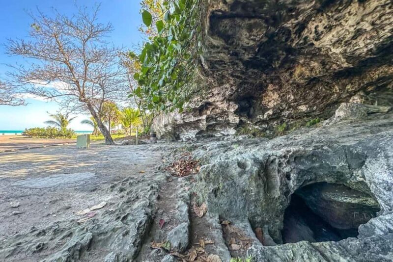 Nassau Mystery & Nature Tour: Bat Caves, Trails & Legends - The Sum Up: Who should consider this tour?