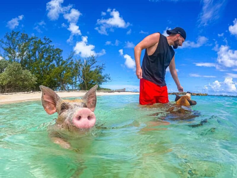 Nassau: Pigs Beach Trip by Boat with Swimming and Feeding - A Detailed Look at the Nassau Pigs Beach Trip