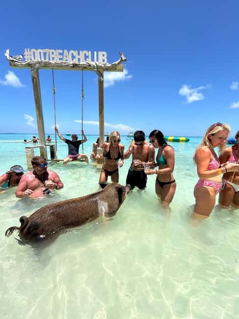 Nassau: Pigs, Snorkel, Turtles, Lunch, Private Beach Club - Nassau: Pigs, Snorkel, Turtles, Lunch, Private Beach Club