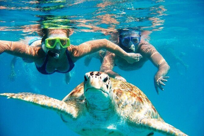 Nassau: Private Island & Snorkeling, Turtles, Drinks & BBQ - Who Will Love This Tour?