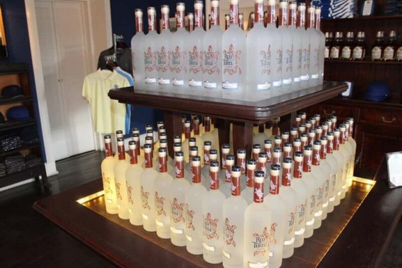 Nassau: Private Rum Reggae and Rhythms Tour - Final thoughts: who should consider this tour?