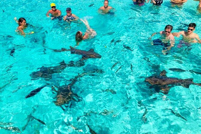 Nassau Private Swim with Pigs, Turtles and Snorkel Tour - Exploring the Itinerary: What to Expect at Each Stop