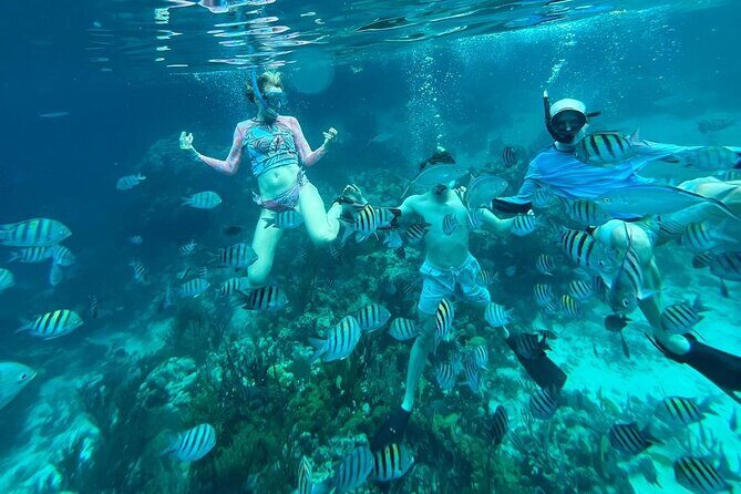 Nassau Private Swim with Pigs, Turtles and Snorkel Tour - The Sum Up: Is This Tour Worth It?