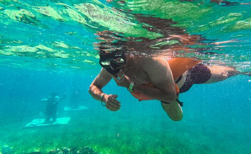 Nassau: Reef Glass Bottom & Snorkel Tour - Who Should Consider This Tour?