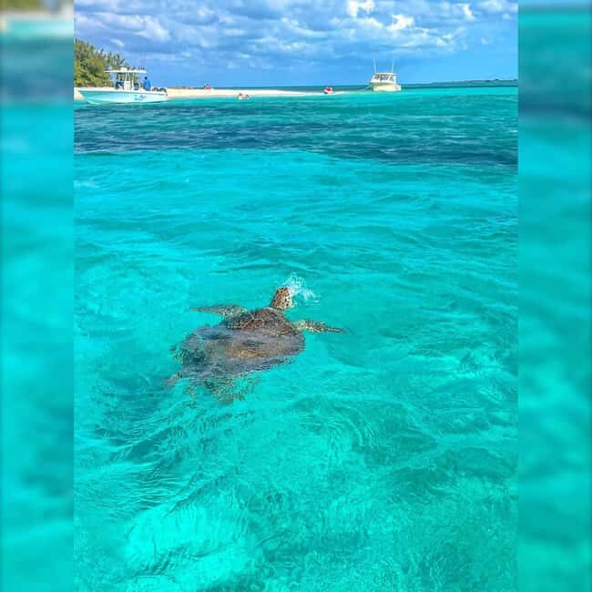 Nassau: Rose 3-Island Tour with Snorkeling and Lunch - The Sum Up: Is This Tour Worth It?