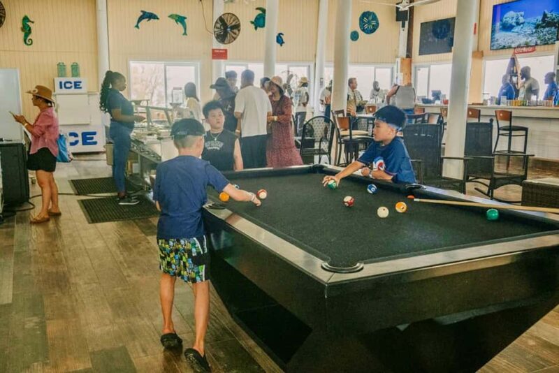 Nassau: ROSE ISLAND PERFECT BEACH DAY GROUP GETAWAY - Optional Pig Encounter — A Quirky Twist