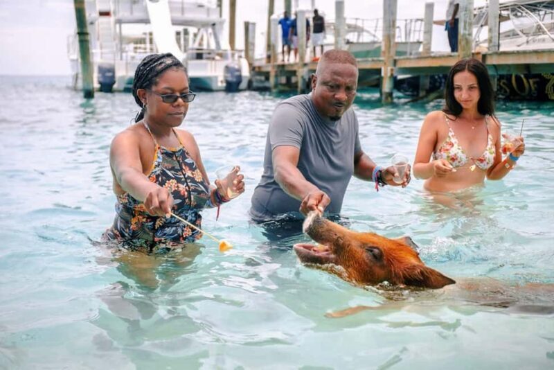 Nassau: Rose Island Swimming Pigs and Beach Day Group Tour - Key Points