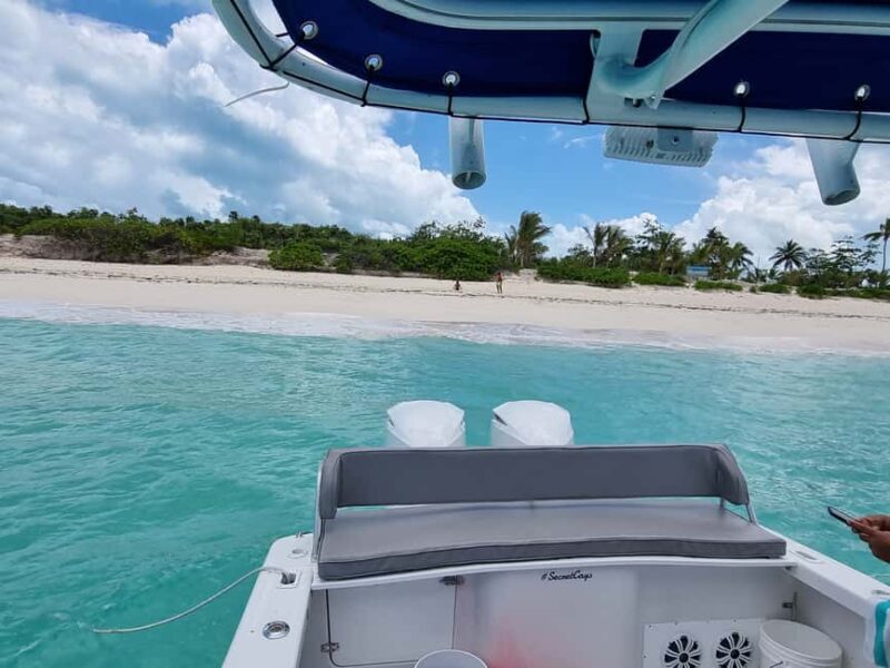 Nassau: Rose Island Swimming Pigs & Turtles Snorkeling Tour - Final Thoughts