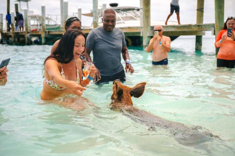 Nassau: Rose Island's Sand Dollar Beach Resort - Activities and Highlights