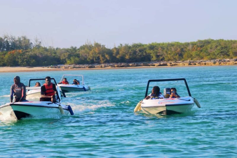 Nassau: Self-Drive Speedboat Ride and Pig Swimming Encounter - Who Will Love This Tour?