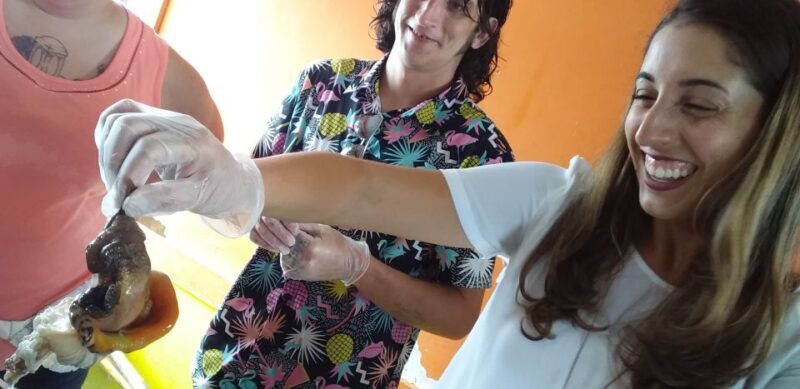 Nassau: Sip, Sample & See, Food & History Bus Tour - A Closer Look at the Nassau Sip, Sample & See Tour