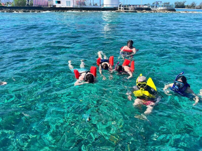 Nassau: Snorkeling, Swimming Pigs, Turtles & beach bar - Key Points