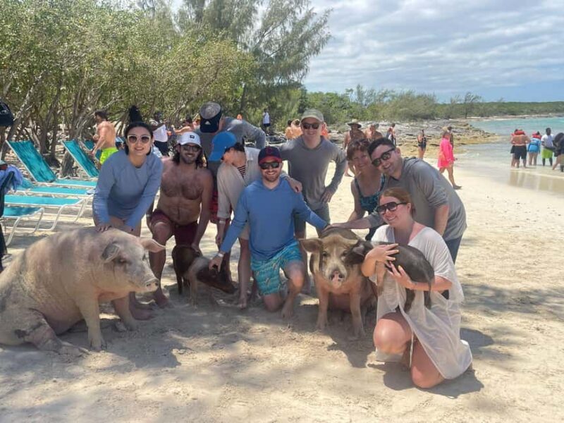 Nassau: Snorkeling, Swimming Pigs, Turtles & beach bar - Who Is This Tour Best Suited For?