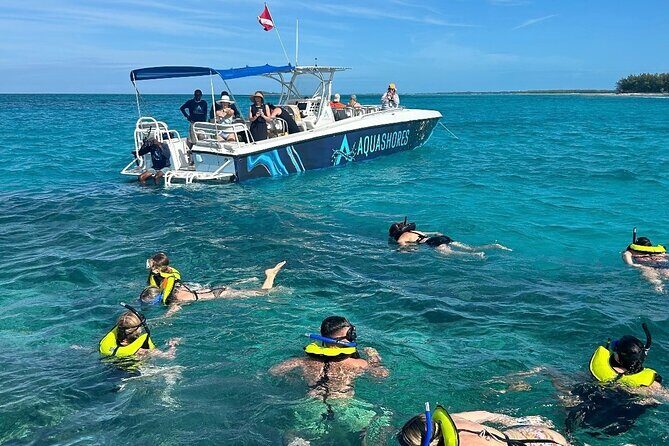 Nassau Snorkeling, Turtle Spotting and Sunset tour - Final Thoughts