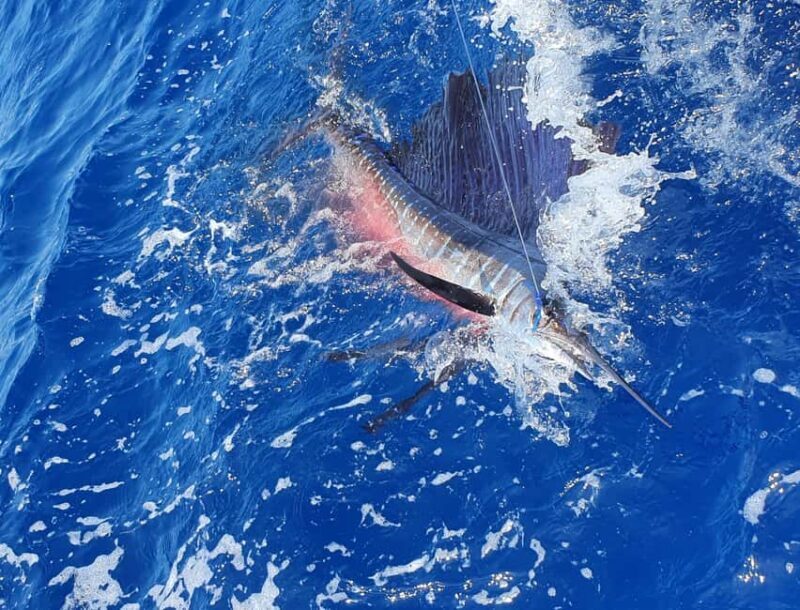 Nassau: Sport-fishing private charter . - Exploring the Nassau Private Sport-Fishing Experience