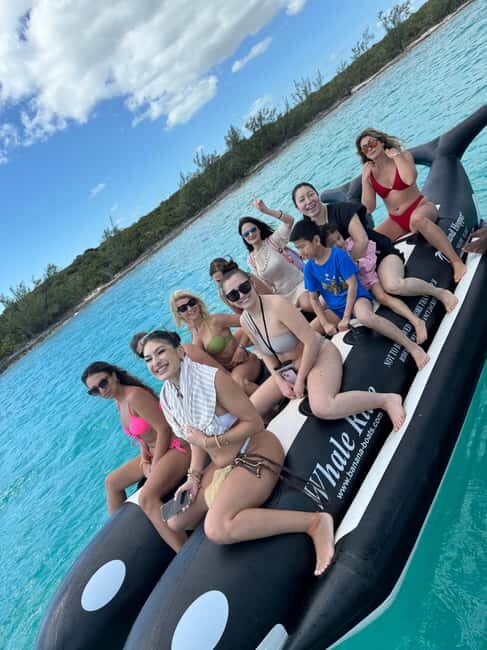 Nassau: Swimming Pigs and Turtles Boat Tour with Snorkeling - A Closer Look at the Nassau: Swimming Pigs and Turtles Boat Tour