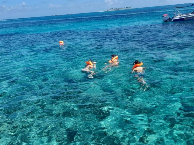 Nassau: Swimming Pigs Private Boat Tour - Up to 7 Persons - FAQ