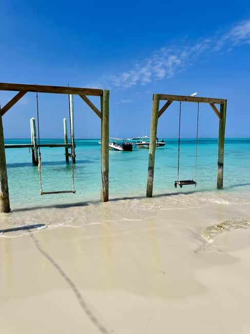 Nassau: Swimming Pigs, Snorkel and Lunch by Speed Boat - Key Points