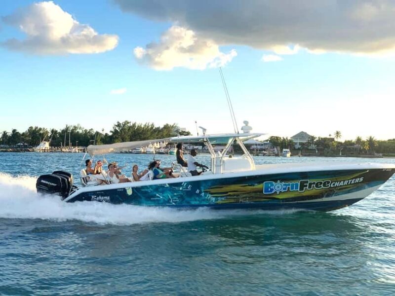 Nassau: Swimming Pigs, Snorkel and Lunch by Speed Boat - A detailed look at what makes this tour special