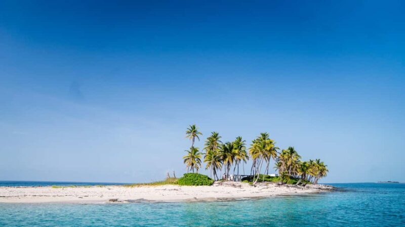 Nassau: Swimming Pigs, Snorkel and Lunch by Speed Boat - Final thoughts