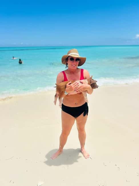 Nassau: Swimming Pigs, Turtles, Snorkel & More - Return to Nassau