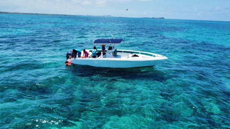 Nassau: Swimming with Pigs, Snorkeling, and Sightseeing Tour - Flexibility and Personal Service