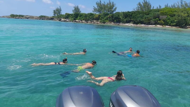 Nassau: Swimming with Pigs, Snorkeling, and Sightseeing Tour - Practical Details: What to Expect and What to Bring