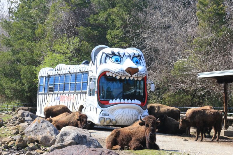 Nasu Safari Park Ticket - Choosing a bus, car or Wild Ride