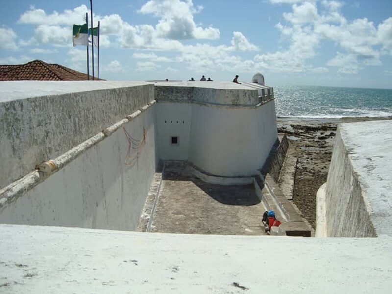 Natal and South Coast Full-Day City and Beach Tour - Exploring Natal: A City of Sun, Sand, and Stories