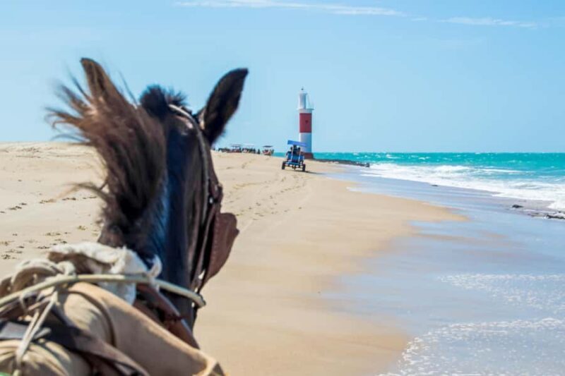 Natal: Galinhos Beach and Salt Flats Full-Day Tour - Exploring the Landscape and Journey