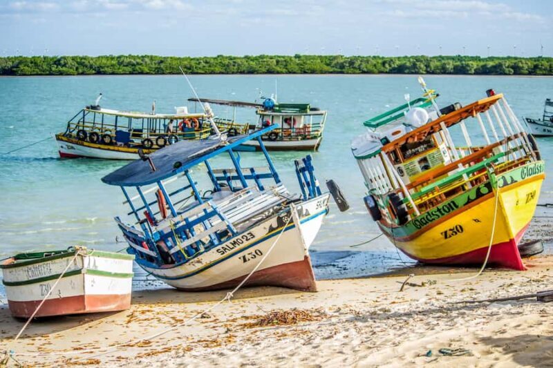 Natal: Galinhos Beach and Salt Flats Full-Day Tour - The Sum Up