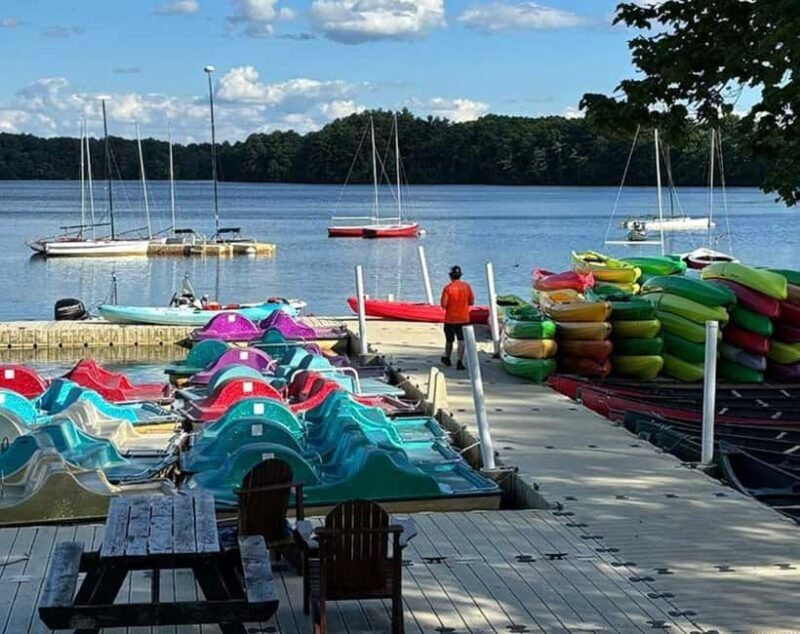 Natick: Lake Cochituate Pedal Boat Rental - Who Should Consider This Experience?