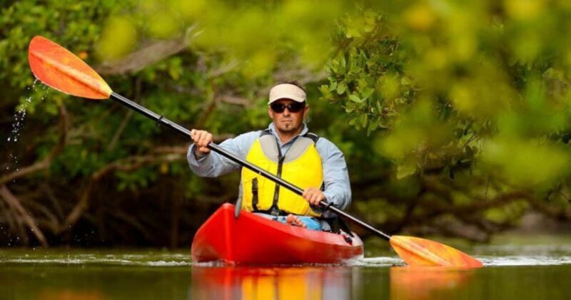 Natick: Lake Cochituate Single or Tandem Kayak Rental - Key Points