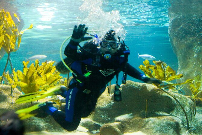 National Aquarium of New Zealand in Napier General Admission - The Experience in Detail