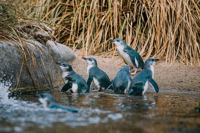National Aquarium of New Zealand in Napier General Admission - Who Will Love This Experience?