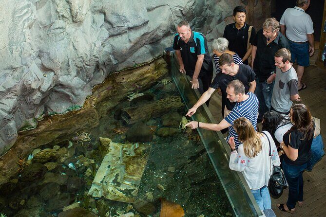 National Aquarium of New Zealand in Napier Native Icons Tour - Key Points