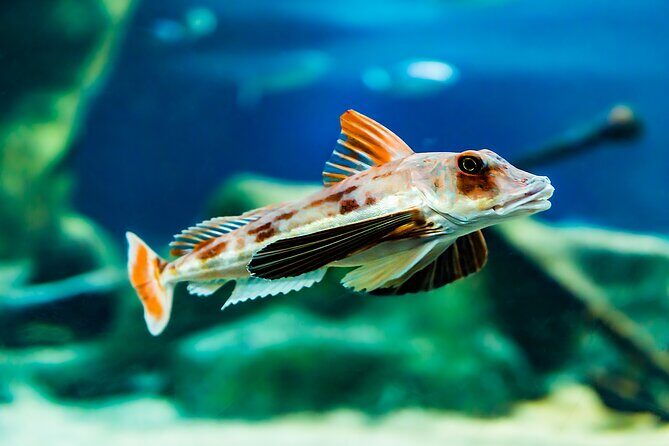 National Aquarium of New Zealand in Napier Native Icons Tour - Final Thoughts: Who Should Consider This Tour?
