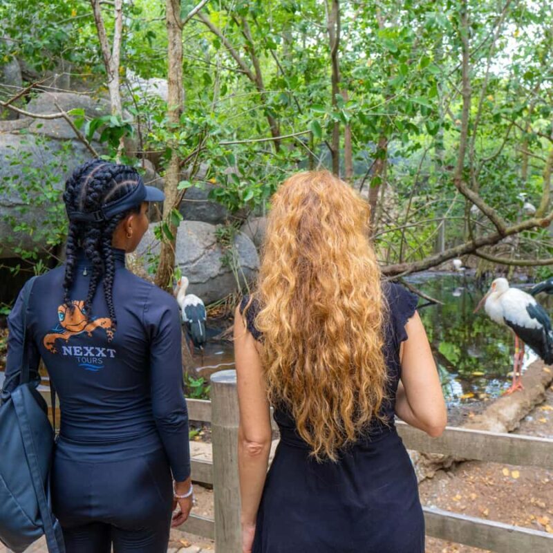 National Aviary and Playa Blanca Plankton Full-Day Tour - Key Points