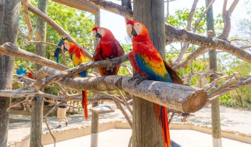 National Aviary and Playa Blanca Plankton Full-Day Tour - The Sum Up: Who Will Love This Tour?