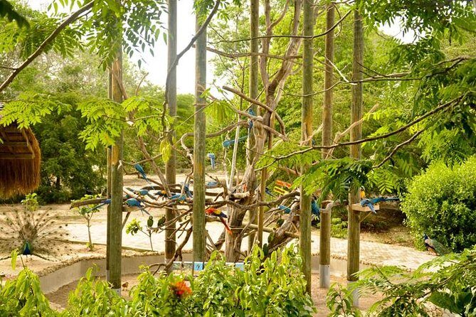 National Aviary private from Cartagena - FAQs