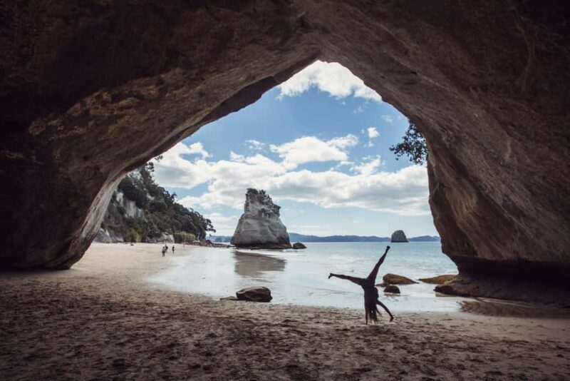 National "Funky Chicken" Hop-On Hop-Off Bus Pass - Key Points