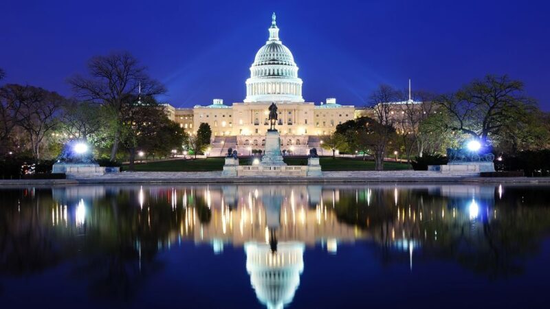 National Mall Tour w/ Washington Monument Semi-Private 12ppl - Who Will Love This Tour