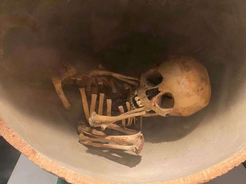 National Museum of Anthropology: A Journey into Mexico's Past-Spanish Language - An In-Depth Look at the Tour Experience