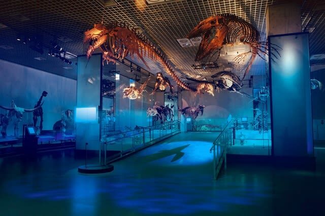 National Museum of Nature and Science Ticket in Tokyo - Find Japan’s story in the Japan Gallery