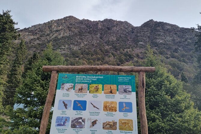 National park Ala-Archa & Chunkurchak ski base resort - Final Thoughts