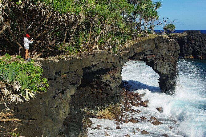 National Park Lava Cliffs and Black Sand Beach - A Detailed Look at the National Park Lava Cliffs and Black Sand Beach Tour