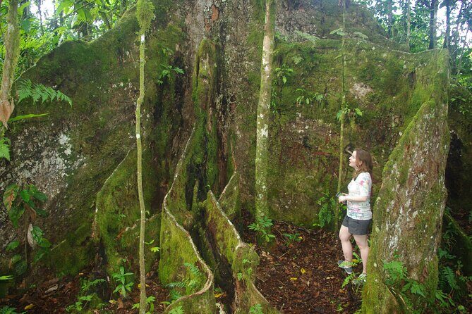 National Park Lava Cliffs and Black Sand Beach - Why This Tour Is Worth It